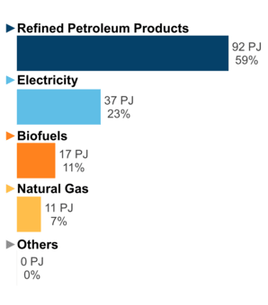 Figure 6: End-Use Demand by Fuel (2020)