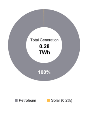 Figure 1: Electricity Generation by Fuel Type (2021)