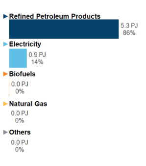 Figure 3: End-Use Demand by Fuel (2019)