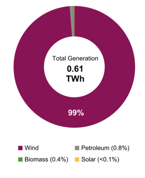 Figure 1: Electricity Generation by Fuel Type (2019)