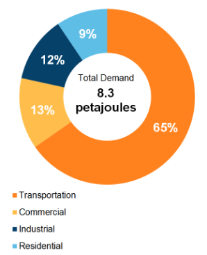 Figure 4: End-Use Demand by Sector (2019)