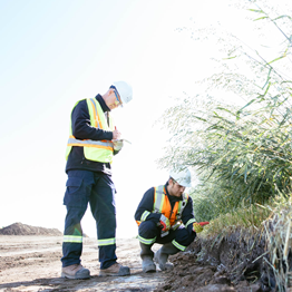 Deux inspecteurs de la Régie observent les pratiques de gestion des sols à un chantier de construction. L’un deux est debout et prend des notes. L’autre est agenouillé pour examiner le sol et la végétation.