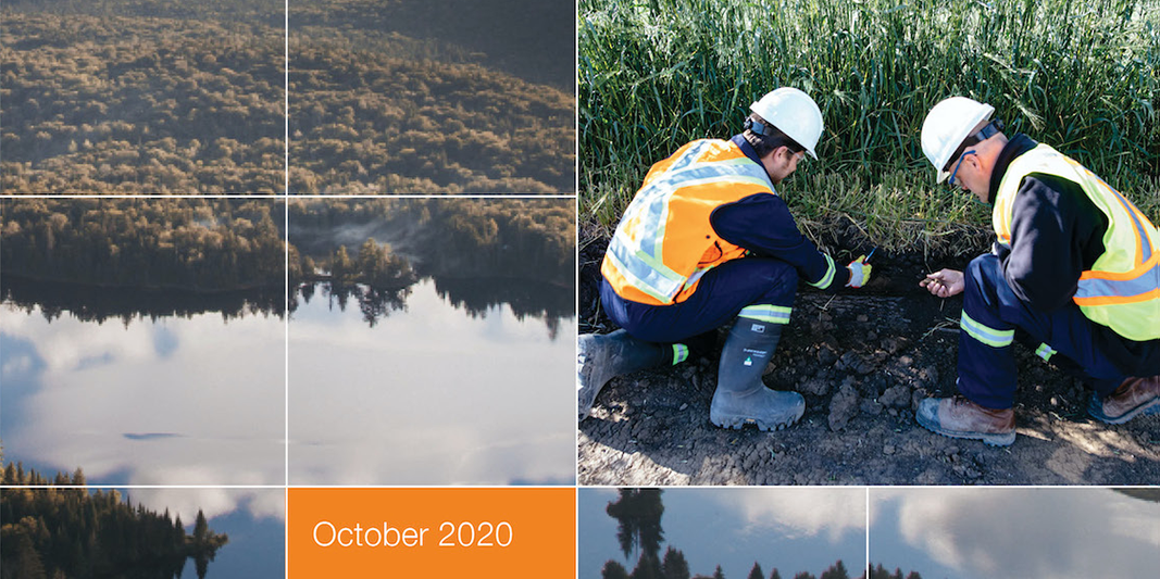 Banner image for Remediation Process Guide