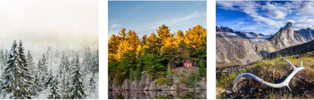 1. Conifères enneigés dans la brume 2. Paysage d’automne montrant un chalet et des arbres au bord d’un plan d’eau 3. Bois de cervidé au premier plan et montagnes en arrière-plan