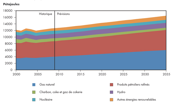 Figure 3.6 - Demande d’énergie primaire selon le combustible