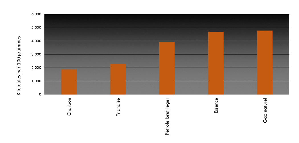 Teneur énergétique