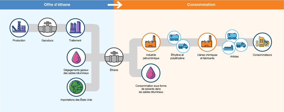 Cette figure illustre le cycle de transformation de l’éthane des sources d’approvisionnement jusqu’aux consommateurs.
Offre d’éthane : Production, gazoducs, traitement, dégagements gazeux des sables bitumineux, importations des États-Unis
Consommation : Industrie pétrochimique, consommation sous forme de solvants dans les sables bitumineux, éthylène et polyéthylène, usines chimiques et fabricants, articles, consommateurs