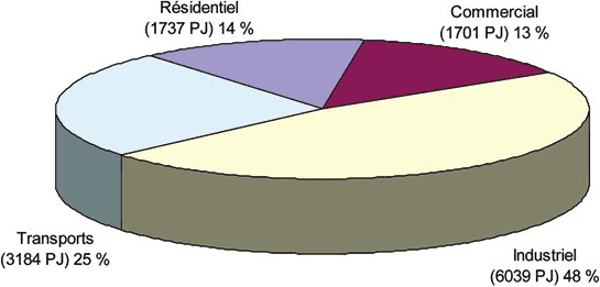 Figure 1 : Parts de la demande finale d’énergie secondaire (2004)