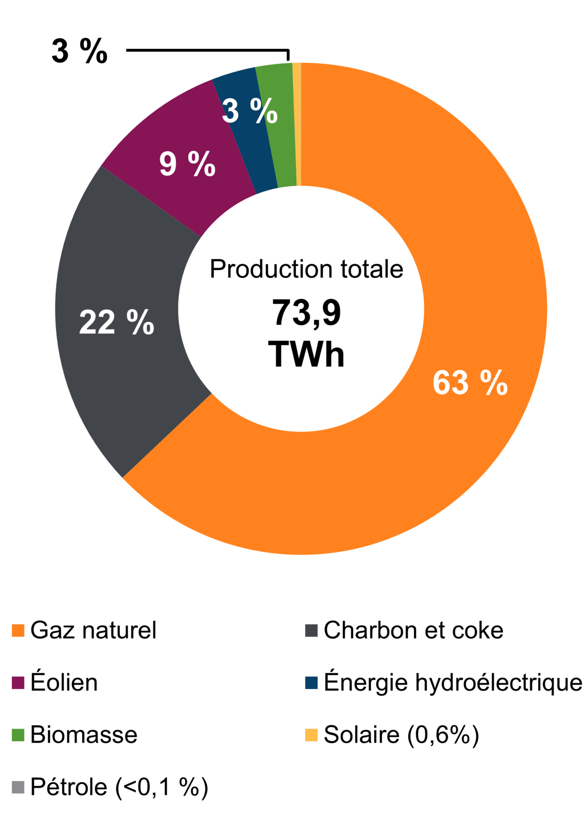 Figure&nbsp;1 – Production d’électricité selon le type de combustible (2021)