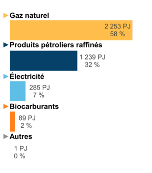 Figure 6 – Demande pour utilisation finale selon le combustible (2020) 