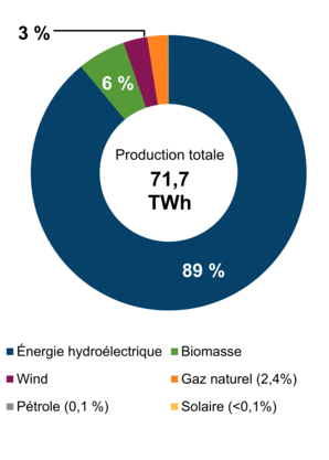 Figure 2 – Production d’électricité selon le type de combustible (2021)