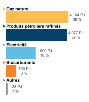 Figure 6 – Demande pour utilisation finale selon le combustible (2020)