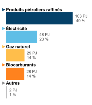Figure 6 – Demande pour utilisation finale selon le combustible (2020)