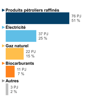 Figure 5 – Demande pour utilisation finale selon le combustible (2020)