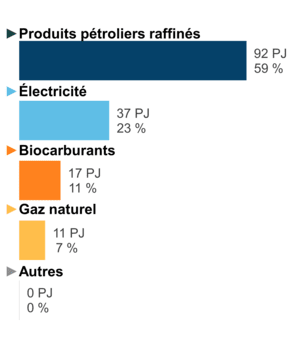 Figure 6 – Demande pour utilisation finale selon le combustible (2020)
