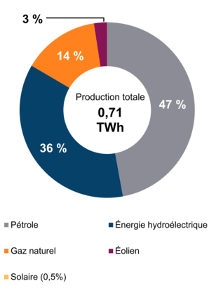 Figure 2 – Production d’électricité selon le type de combustible (2021)