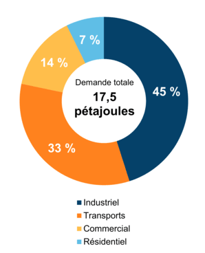 Figure 5 – Demande pour utilisation finale selon le secteur (2020)