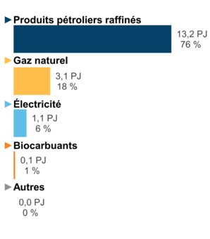 Figure 6 – Demande pour utilisation finale selon le combustible (2020)