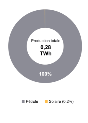 Figure 1 – Production d’électricité selon le type de combustible (2021)