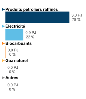 Figure 3 – Demande pour utilisation finale selon le combustible (2020) 