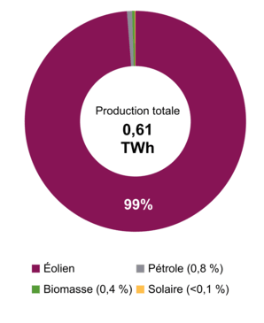Figure 1 – Production d’électricité selon le type de combustible (2021)