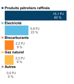 Figure 3 – Demande pour utilisation finale selon le combustible (2020)