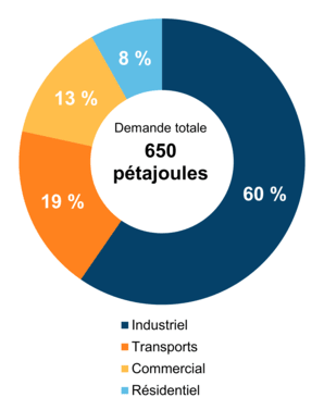Figure 5 – Demande pour utilisation finale selon le secteur (2020)