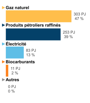 Figure 6 – Demande pour utilisation finale selon le combustible (2020)