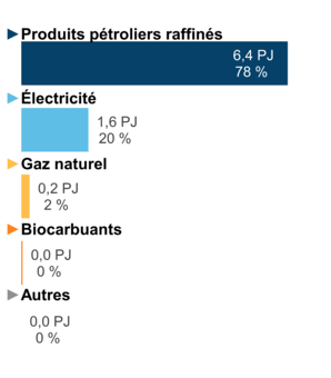 Figure 3 – Demande pour utilisation finale selon le combustible (2020)