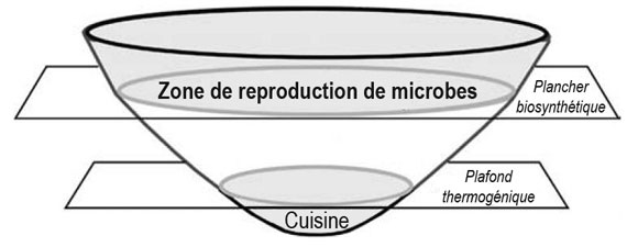Figure 3 : Production de méthane biosynthétique (zone de reproduction) et thermogénique (cuisine)