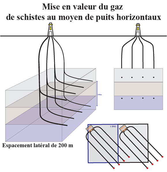 Figure 7 : Schéma d’un terre-plein de forage à plusieurs puits et de plusieurs puits horizontaux à partir du même emplacement de surface