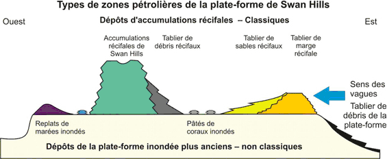 Figure 16 - Types de gisements dans le champ de Swan Hills