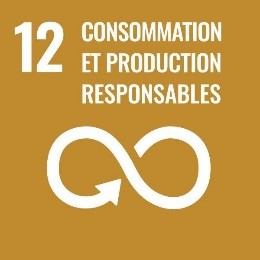 Icône montrant le chiffre 12 et les mots Consommation et production responsables