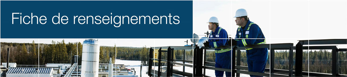 Fiche de renseignements