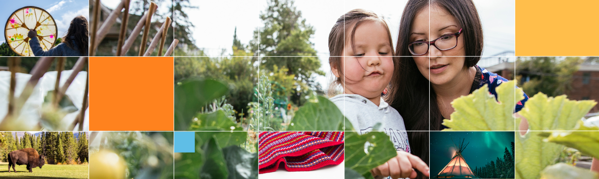 Background image of an Indigenous woman and child looking at plants. Collage of images including a weaved blanket, a buffalo in the field drummer and landscape of the northern lights with a tipi.